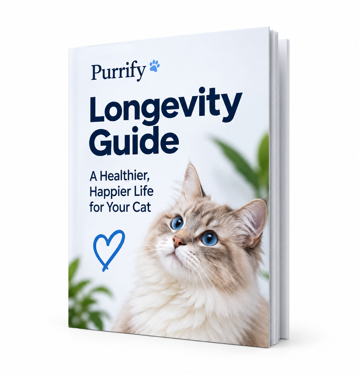 Purify Longevity Ebook